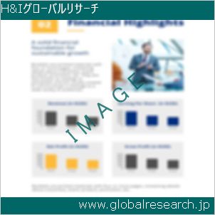 グローバルリサーチ調査レポートのイメージ